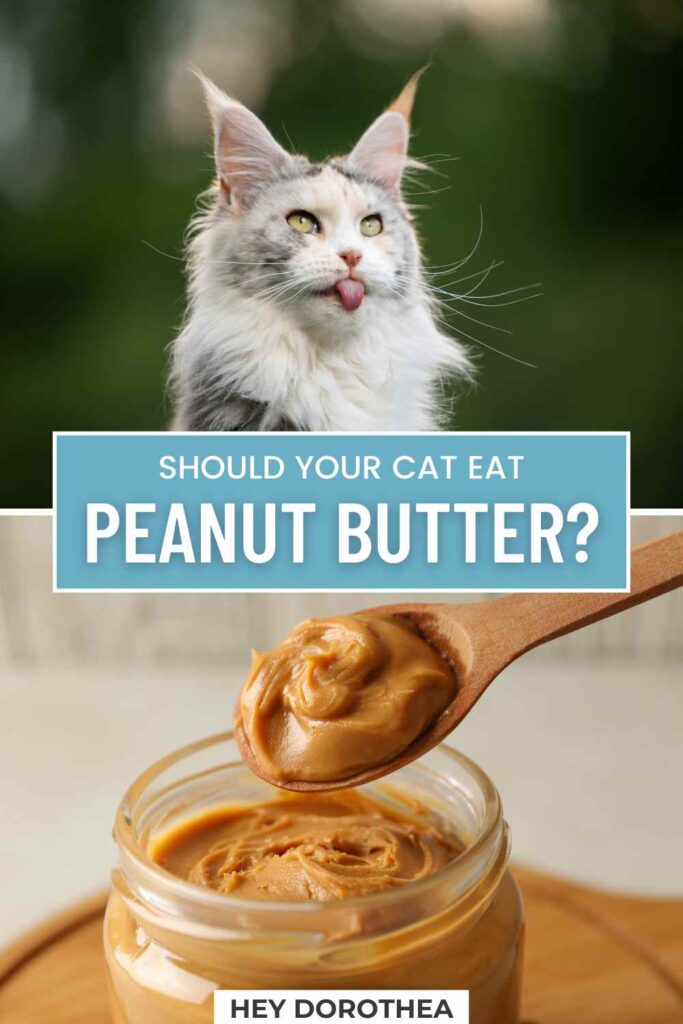 can cats eat peanut butter pin