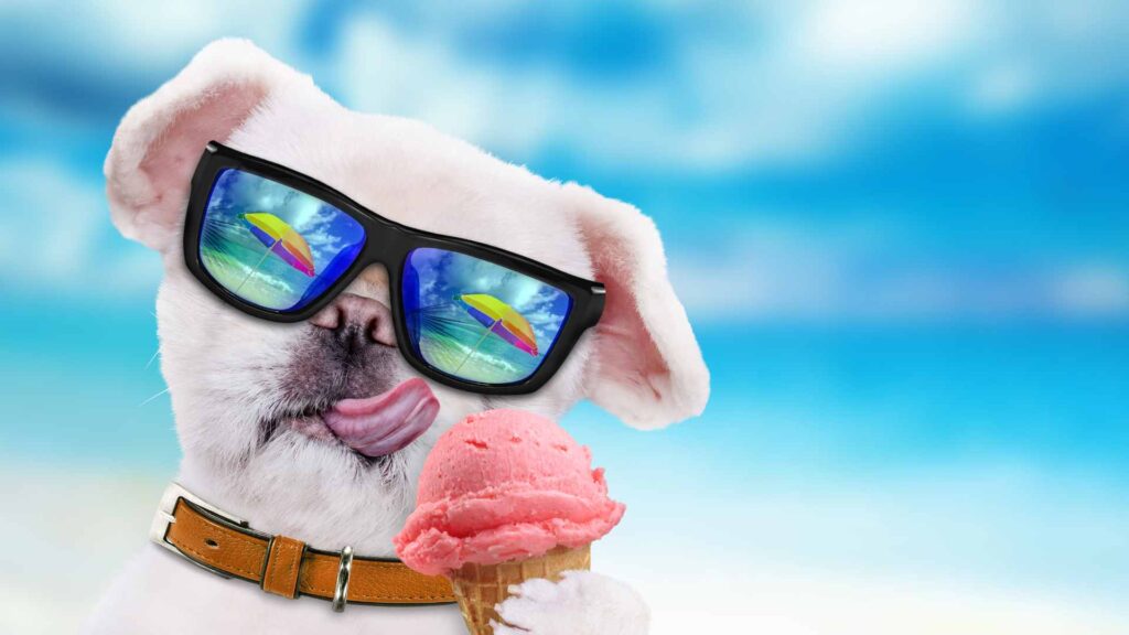 can dogs eat ice cream