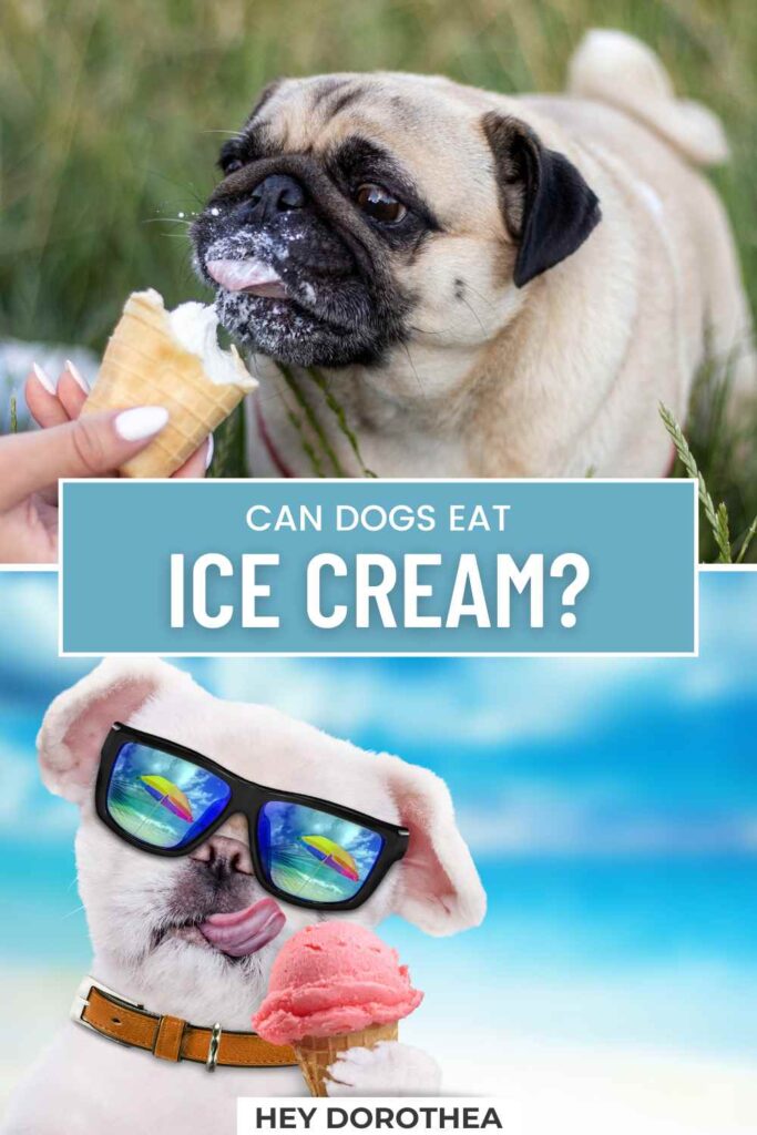 can dogs eat ice cream pin