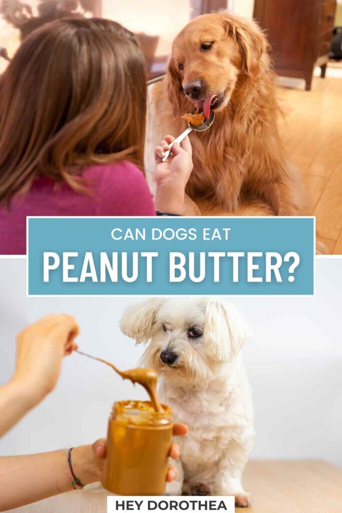 can dogs eat peanut butter pin