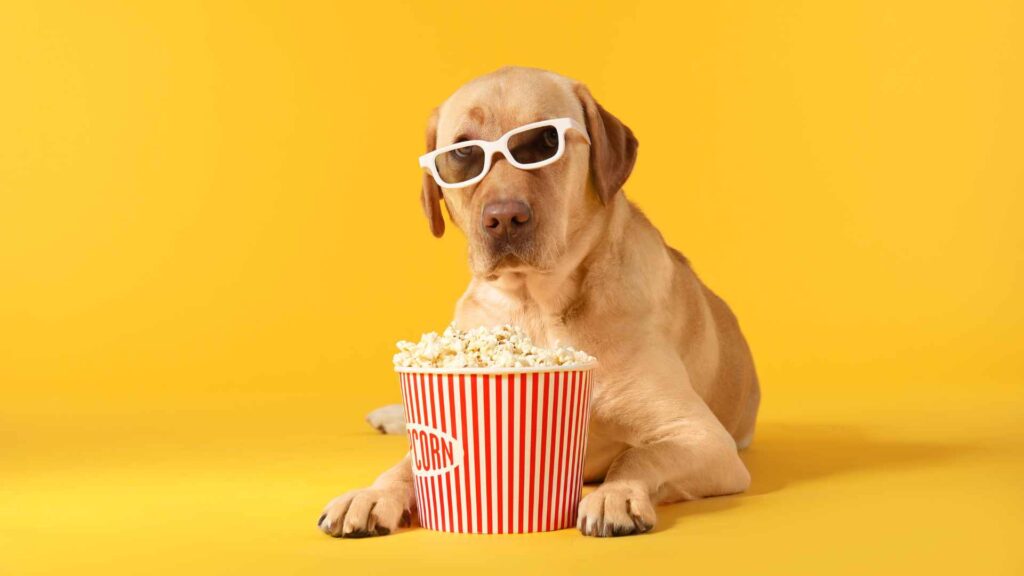 can dogs eat popcorn