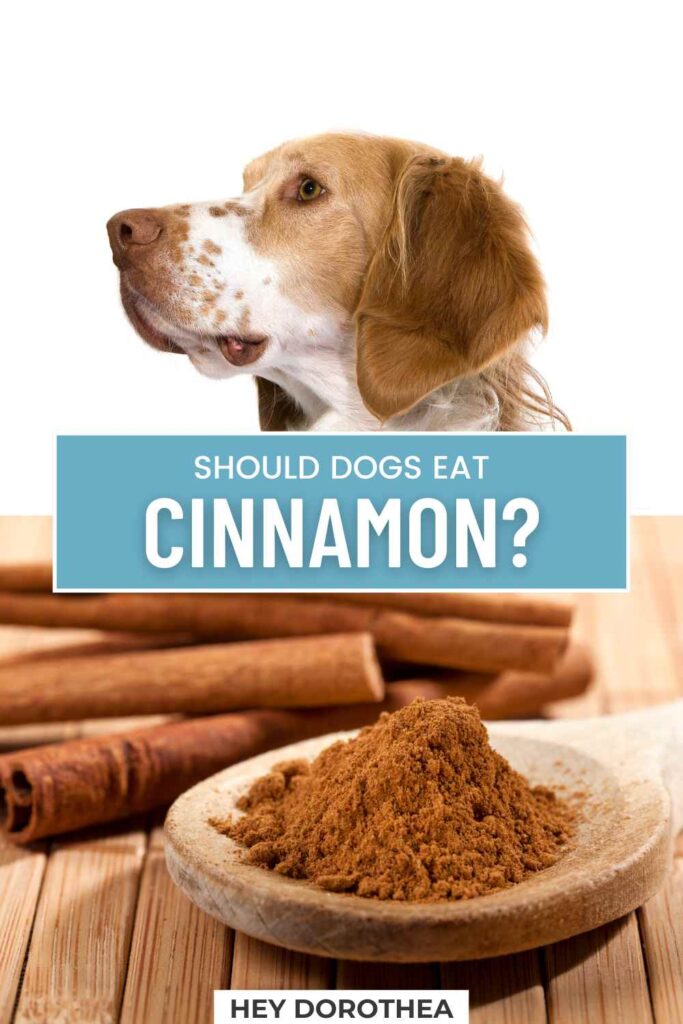 should dogs eat cinnamon pin