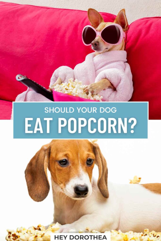 should dogs have popcorn pin