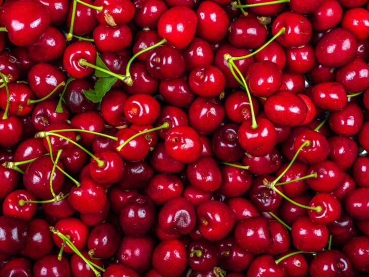 Can Dogs Eat Cherries?