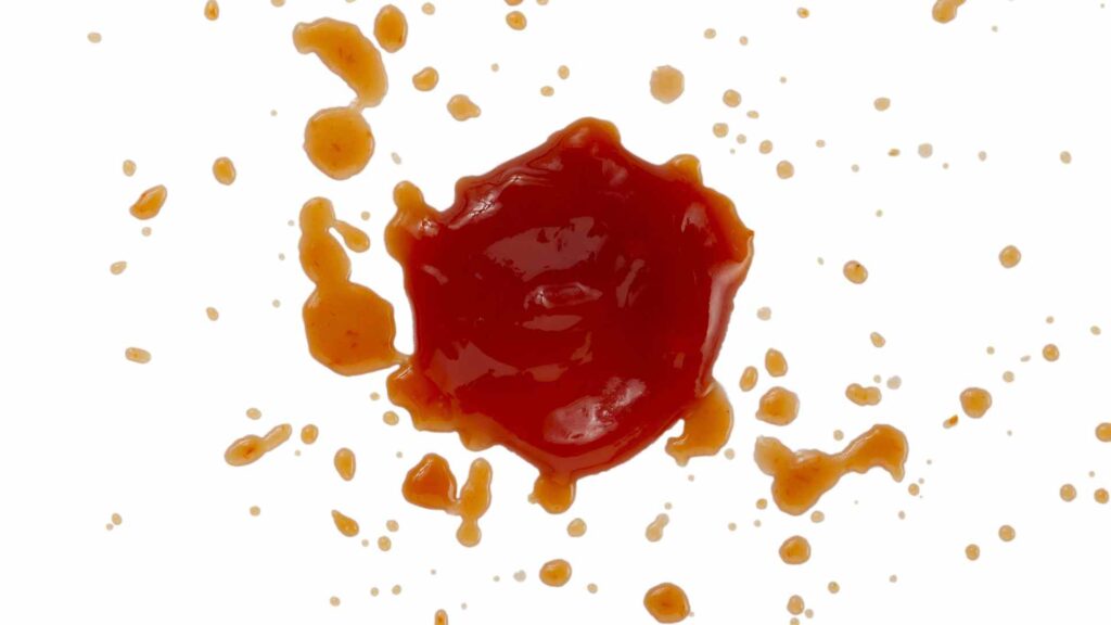 Can Dogs Eat Ketchup?