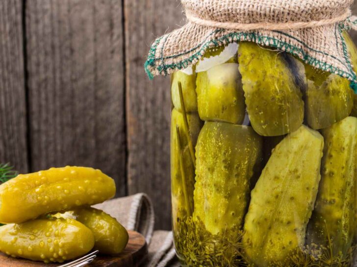 Can Dogs Eat Pickles?