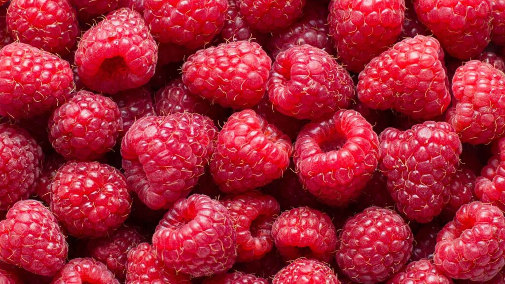 Can Dogs Eat Raspberries?