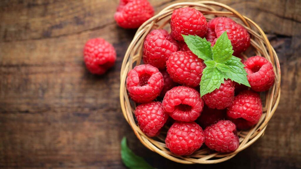 Can Dogs Eat Raspberries?