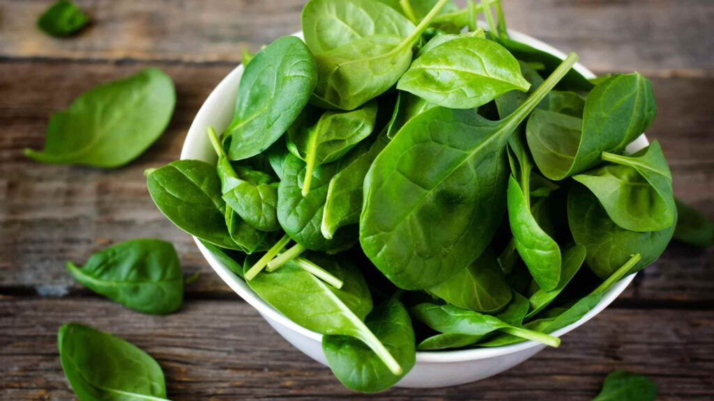 Can Dogs Eat Spinach?