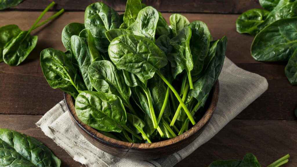 Can Dogs Eat Spinach?