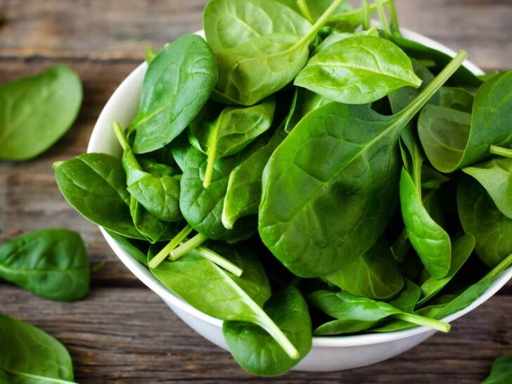 Can Dogs Eat Spinach?