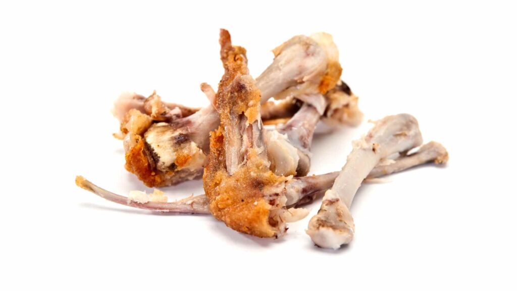 Can Dogs Have Chicken Bones?